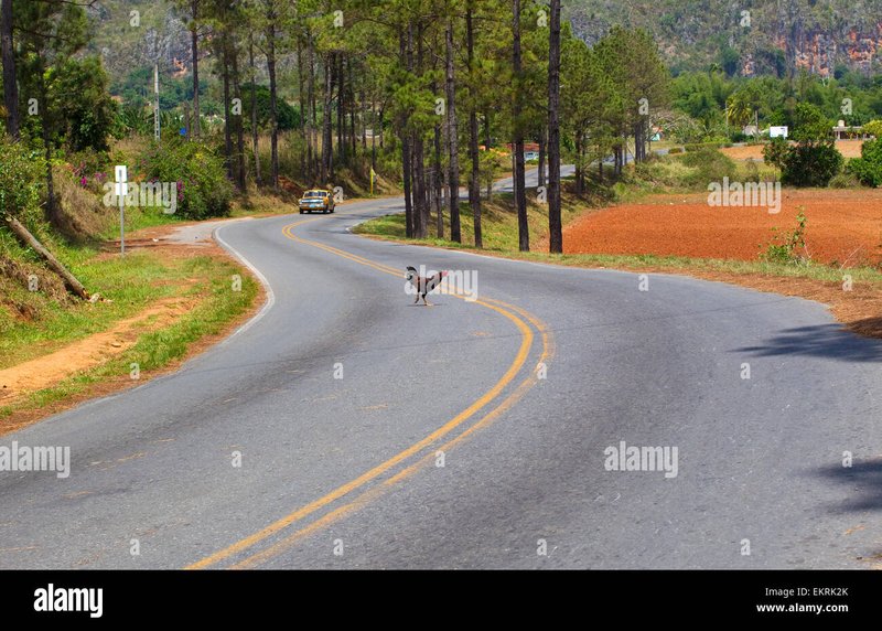 Spain - chicken road oficial españa